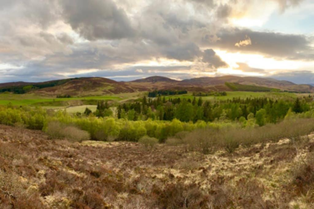 Blairbeg Cottage Blairgowrie and Rattray Eksteriør bilde